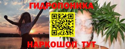 прущие грибы Среднеуральск