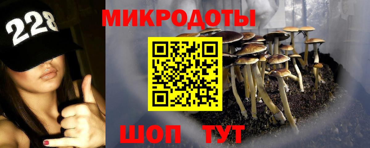 Псилоцибиновые грибы Psilocybine cubensis  Вход с VPN  Волжск 